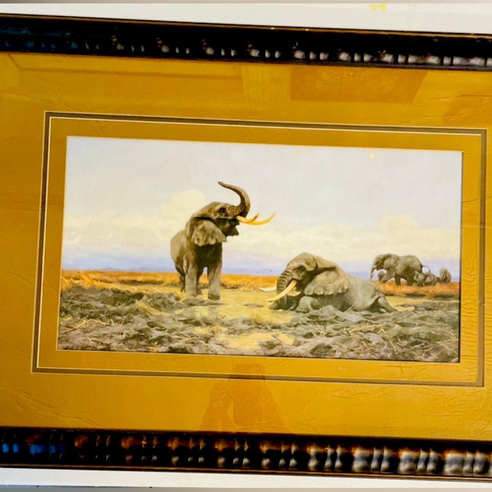 Lack’s Elephant Framed Wall Art from Lack’s. 31x22